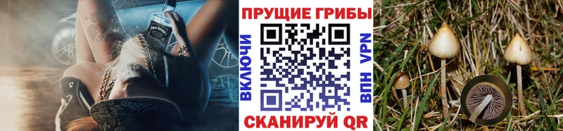 Псилоцибиновые грибы MAGIC MUSHROOMS  Сызрань 